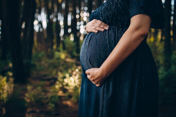 Gravid Gravid